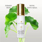 Sundari Gotu Kola And Geranium Moisturizer For Normal/Comb Skin (1.7floz/50ml)