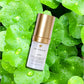 Sundari Gotu Kola And Yucca Facial Serum For All Skin Types (0.5floz/15ml)