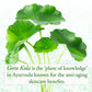 Sundari Gotu Kola And Yucca Facial Serum For All Skin Types (0.5floz/15ml)