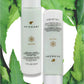 Sundari Neem And Tamanu Corrective Moisturizer For Dry Skin (1.7floz/50ml)
