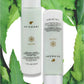 Sundari Neem And Tamanu Corrective Moisturizer For Dry Skin (1.7floz/50ml)