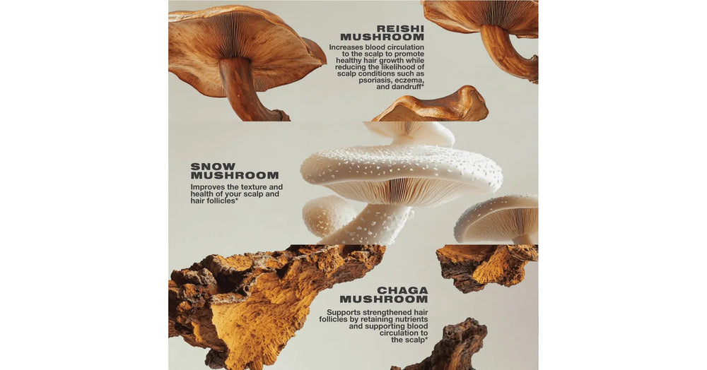 Imarais Vegan Haircare Gummies - NOURISH (30/pack)