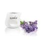 Italwax Vanira Spa Massage Candle Lavender (50ml)