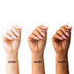 Revive7 Sculpt Brow x Revive7 Brow Kit